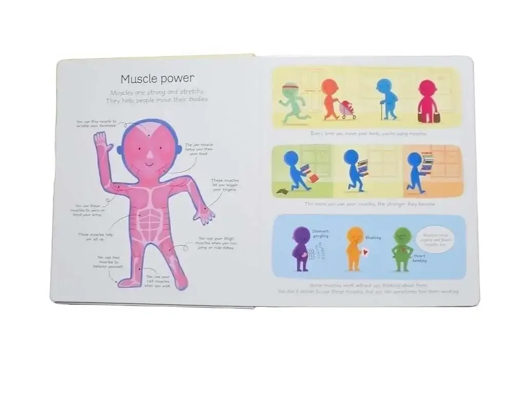 Usborne My Very First Body Book by Matthew Oldham